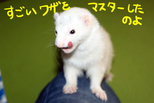 141109a.gif
