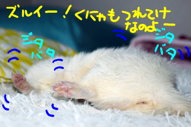 141110d.gif