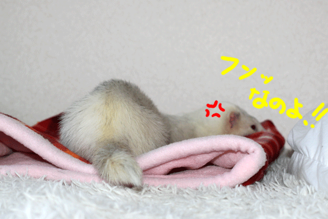 141110e.gif