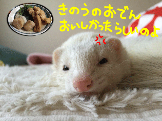 141111a.gif