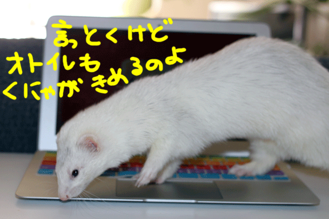 141111b.gif