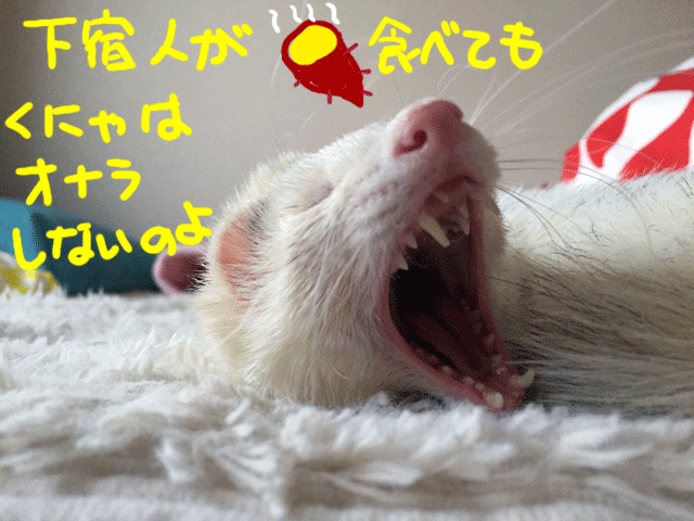 141111c.gif