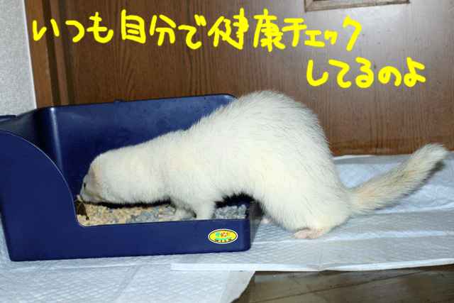 141112c.gif