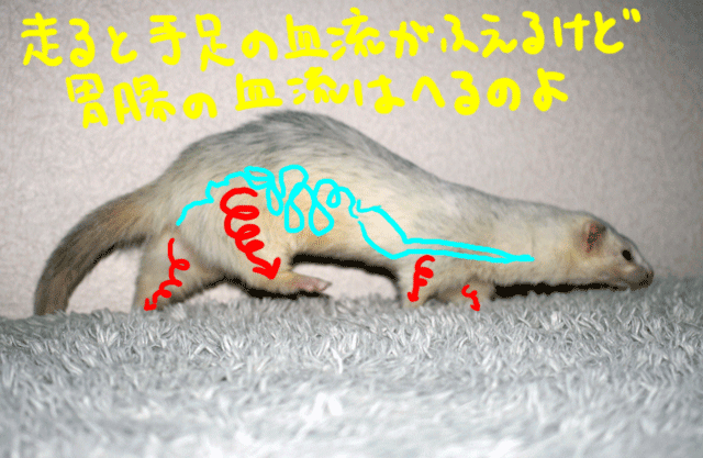 141112d.gif
