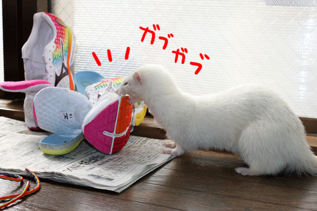 141112e.gif