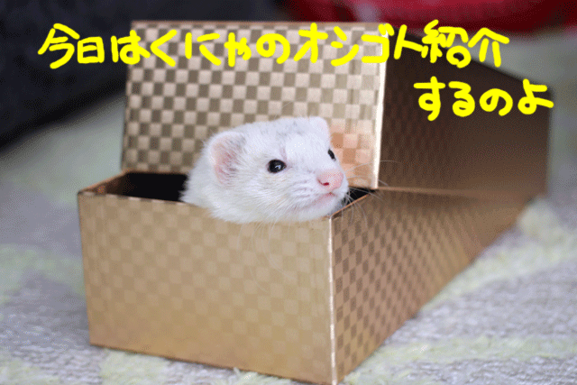 141114a.gif