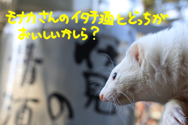 141115e.gif