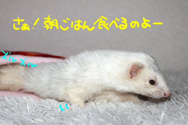 141116a.gif