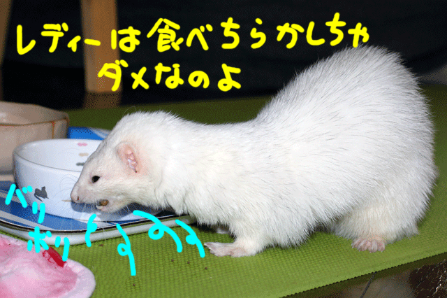 141116b.gif