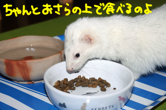 141116d.gif