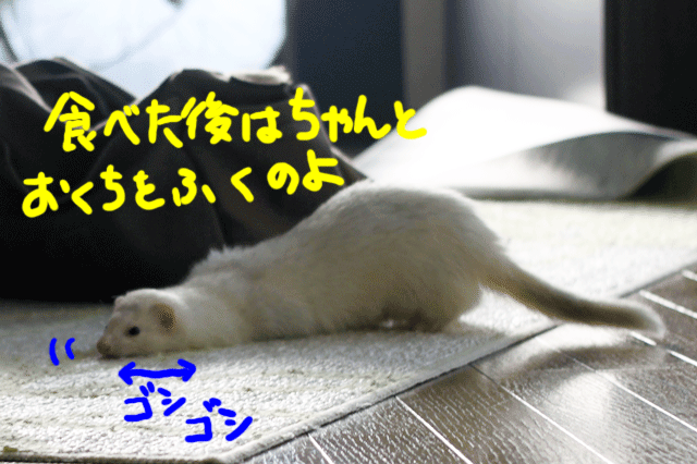 141116e.gif