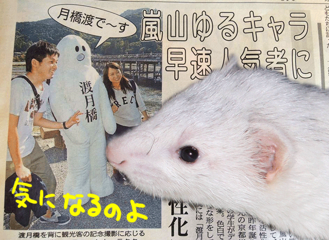 141117a.gif