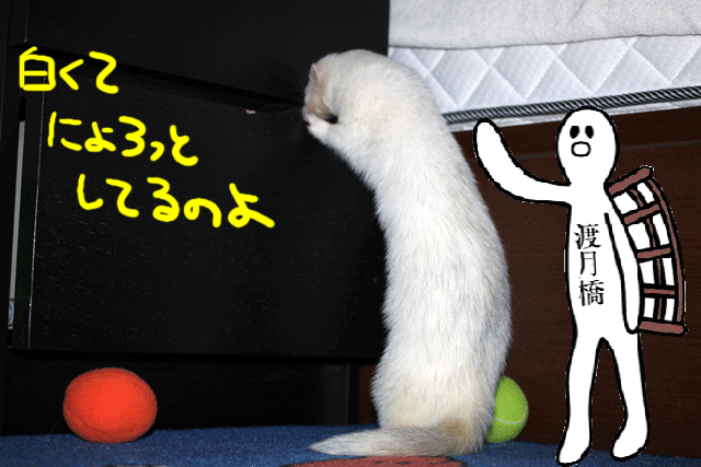 141117b.gif