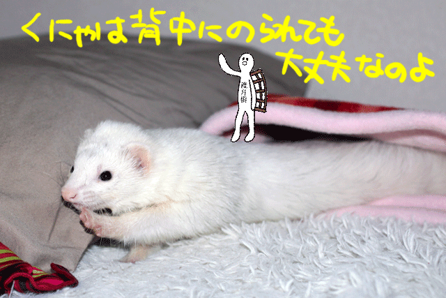 141117c.gif