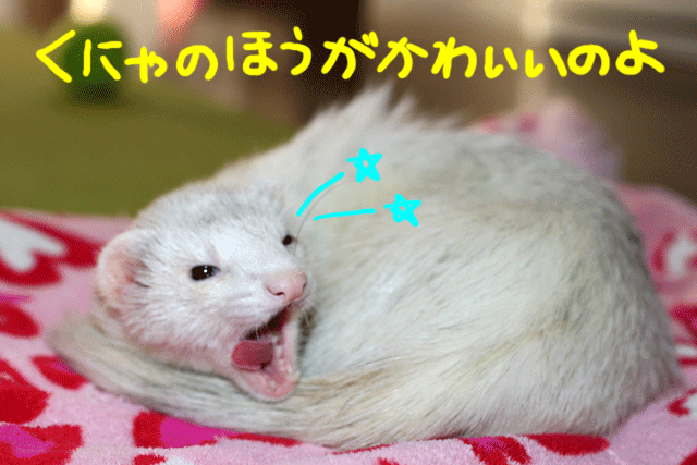 141117d.gif