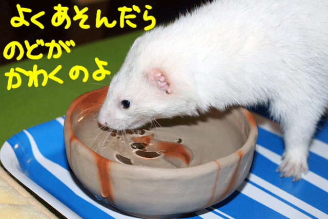 141119a.gif