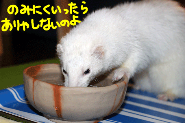 141119b.gif