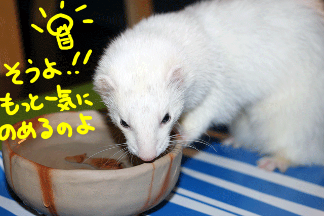 141119c.gif