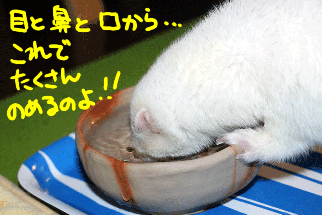 141119d.gif
