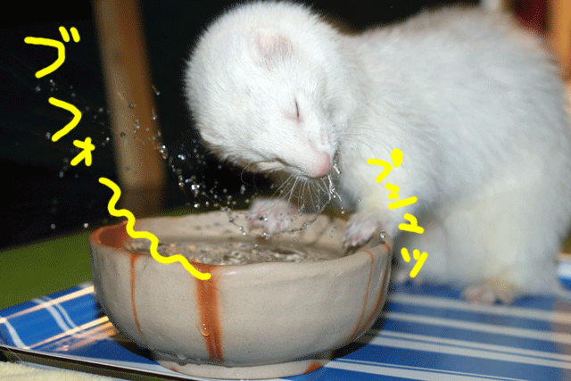 141119e.gif