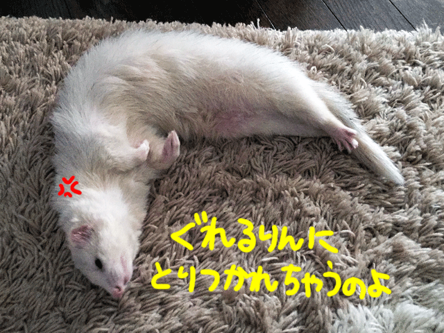 141120a.gif