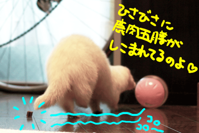 141120b.gif
