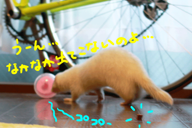 141120c.gif