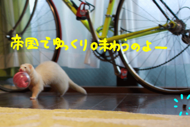 141120d.gif