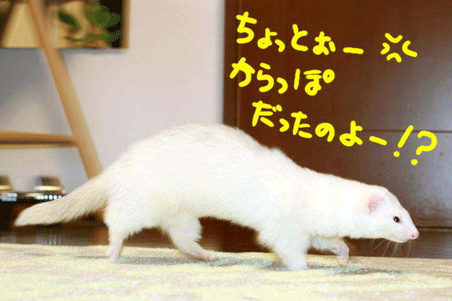 141120e.gif
