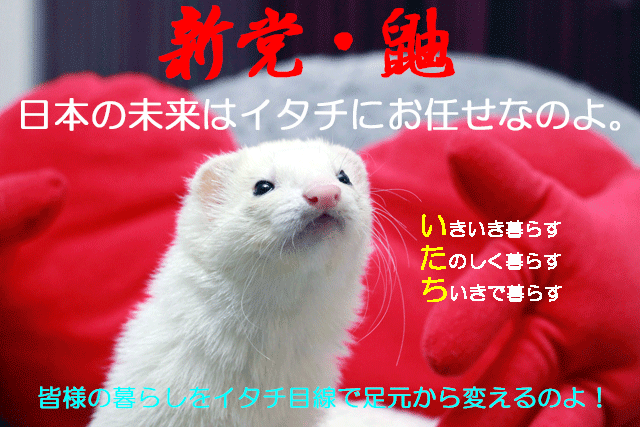 141122a.gif