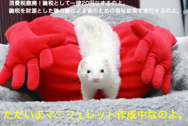 141122b.gif