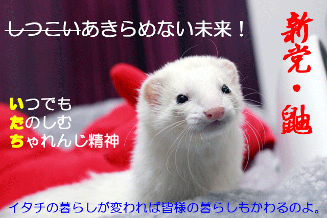 141122c.gif