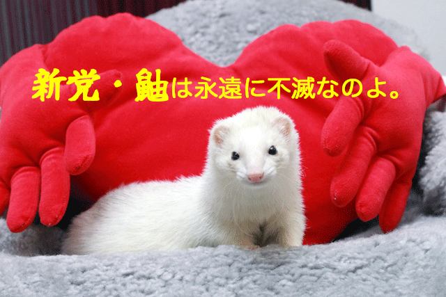 141122d.gif