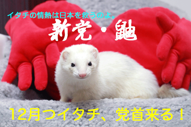 141122e.gif