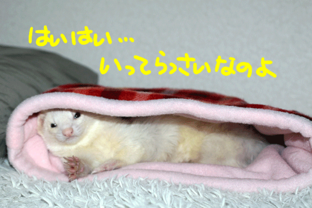 141123c.gif