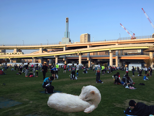 141124a.gif