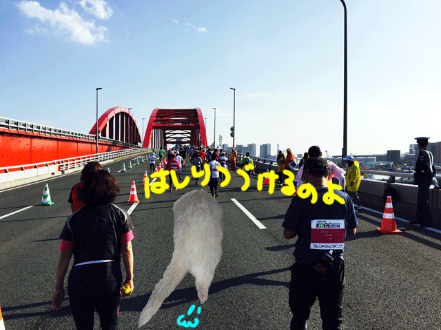 141124f.gif