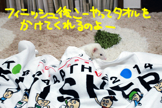 141124g.gif