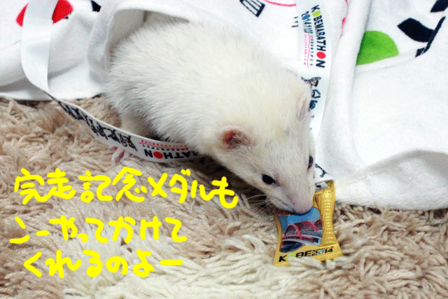 141124h.gif