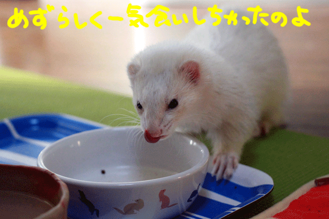 141124i.gif