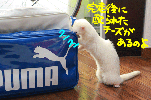 141125a.gif