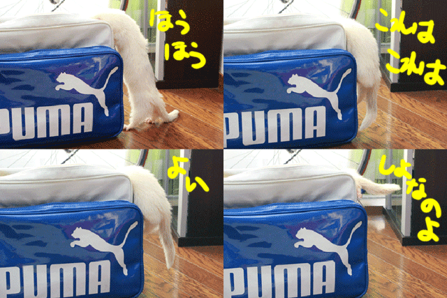 141125b.gif