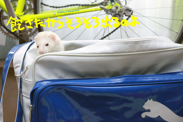 141125d.gif