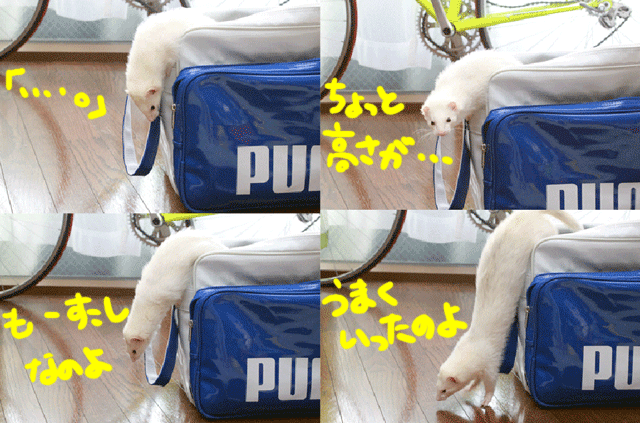 141125e.gif