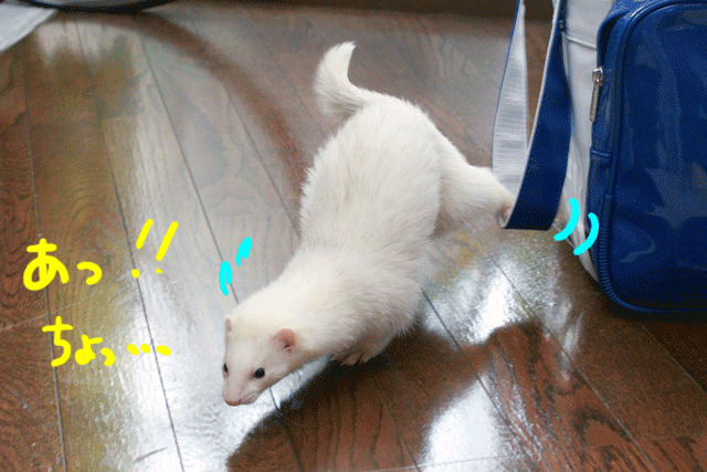 141125f.gif
