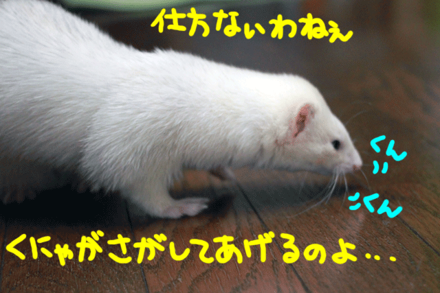 141127a.gif