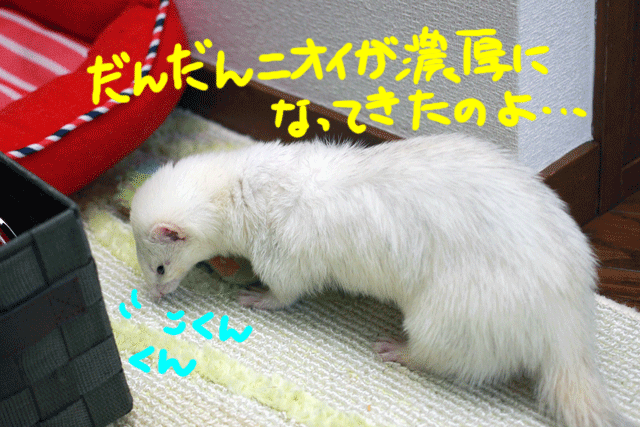 141127b.gif