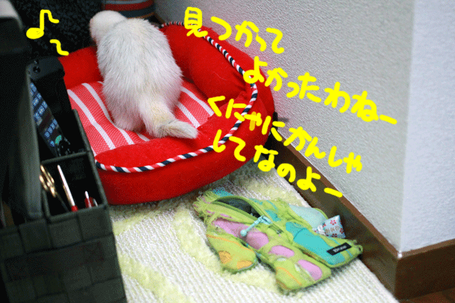 141127d.gif