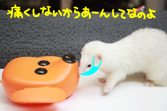 141128b.gif