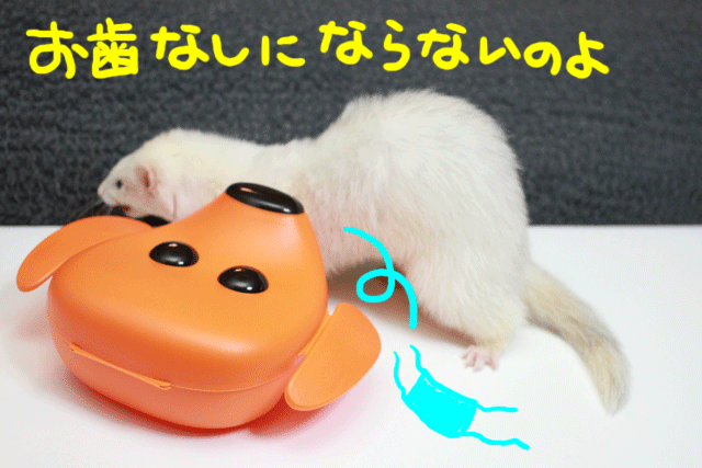 141128c.gif